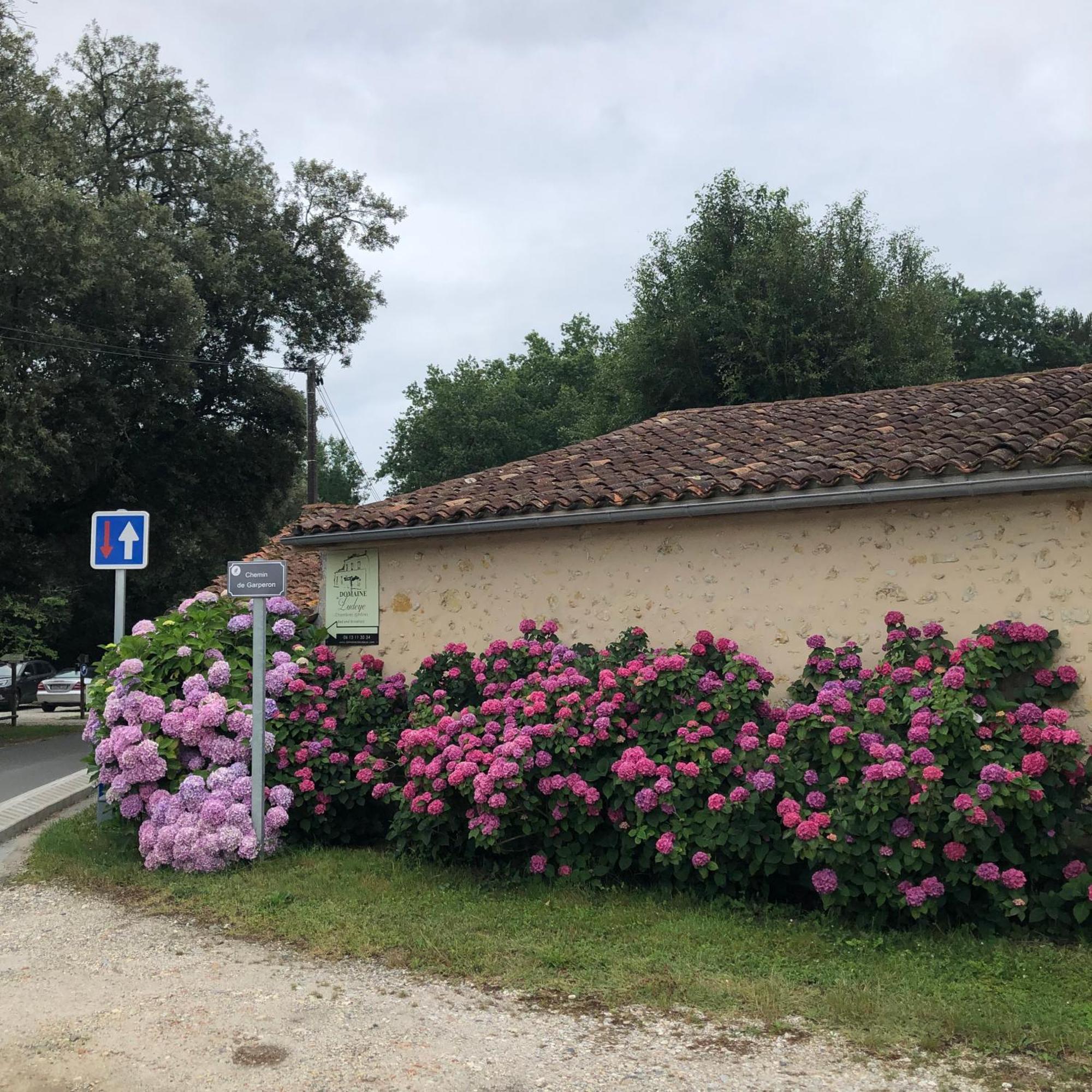 Hotel Domaine De Ludeye Listrac-Médoc Exterior foto